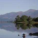 3 *